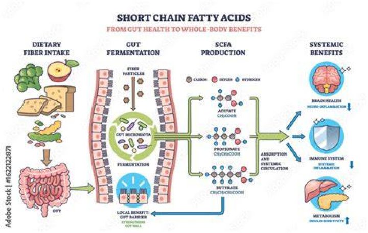 Are short chain fatty acids volatile?
