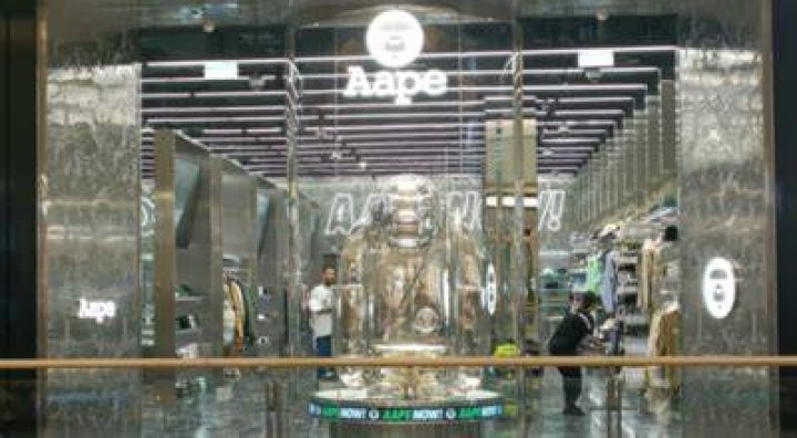 What does Aape stand for?